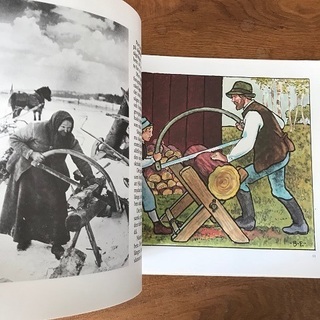 古書玉椿no.13.jpg