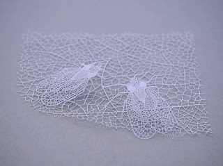 夏のばけもの展no.4.jpg
