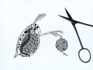 夏のばけもの展no.5.jpg